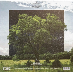 Fink – Bloom Innocent - Coloured