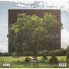 Fink – Bloom Innocent - Coloured