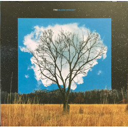 Fink – Bloom Innocent - Coloured