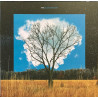 Fink – Bloom Innocent - Coloured