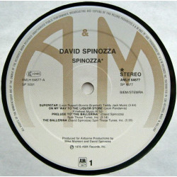 David Spinozza ‎– Spinozza