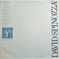 David Spinozza ‎– Spinozza