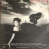 Duran Duran ‎– Notorious