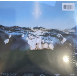 Bonobo – Fragments 2LP - Coloured