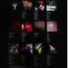 The xx – xx