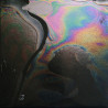 The XX – Coexist + CD