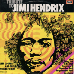 Jeff Cooper And The Stoned Wings – Tribute To Jimi Hendrix