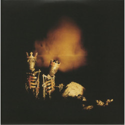 Pearl Jam – Riot Act 2LP