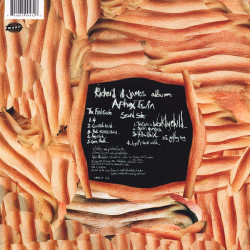Aphex Twin – Richard D. James Album