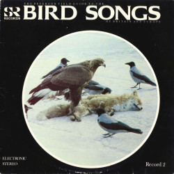 No Artist – The Peterson Field Guide To The Bird Songs Of Britain And Europe (Record 2)