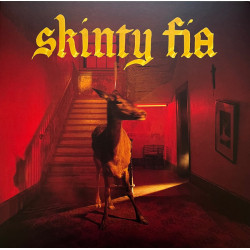 Fontaines D.C. – Skinty Fia