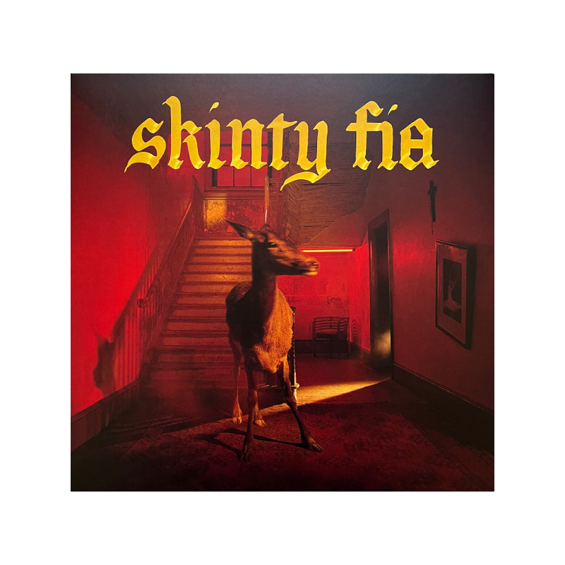 Fontaines D.C. – Skinty Fia