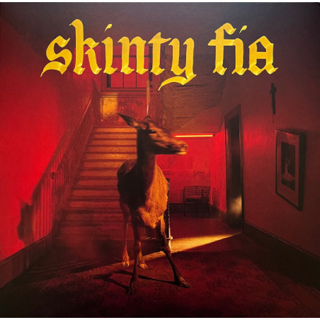 Fontaines D.C. – Skinty Fia