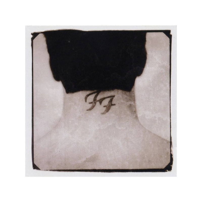 Foo Fighters – There Is Nothing Left To Lose 2LP Foo Fighters – There Is Nothing Left To Lose 2LP