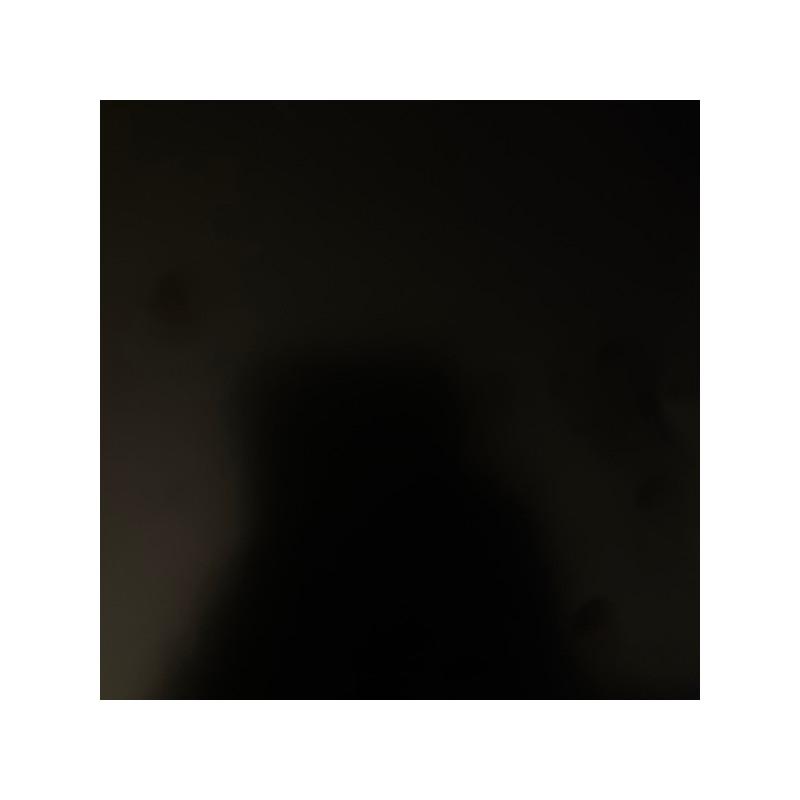 Kanye West – Donda 4LP Kanye West – Donda 4LP