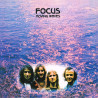 Focus – Moving Waves