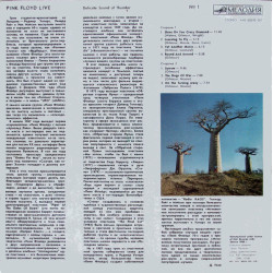 Pink Floyd – Delicate Sound Of Thunder № 1