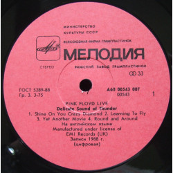 Pink Floyd – Delicate Sound Of Thunder № 1