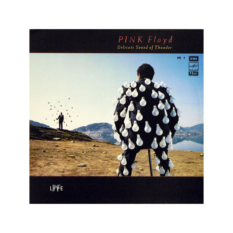 Pink Floyd – Delicate Sound Of Thunder № 1 Pink Floyd – Delicate Sound Of Thunder № 1