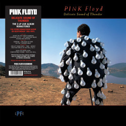 Pink Floyd – Delicate Sound Of Thunder  2LP