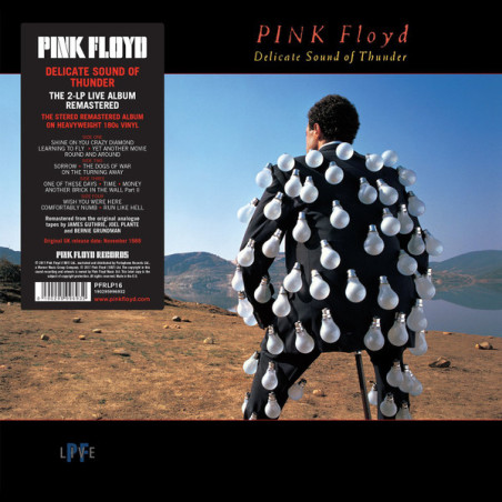 Pink Floyd – Delicate Sound Of Thunder  2LP