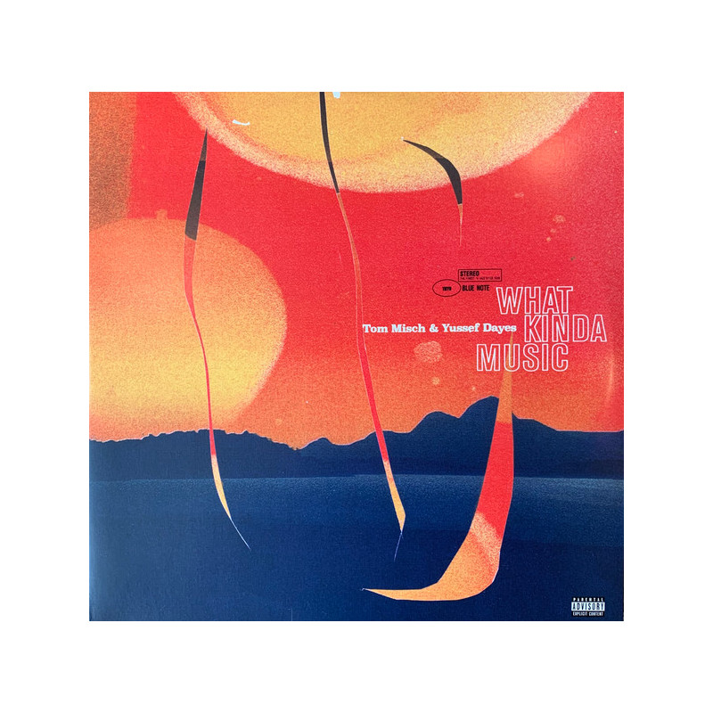 Tom Misch & Yussef Dayes – What Kinda Music 2LP Tom Misch & Yussef Dayes – What Kinda Music 2LP