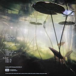 Aistė Smilgevičiūtė Ir Skylė – Povandeninės Kronikos 2LP - coloured