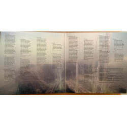 Aistė Smilgevičiūtė Ir Skylė – Povandeninės Kronikos 2LP - coloured