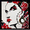 Arcadia – So Red The Rose