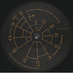 Arcadia – So Red The Rose
