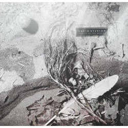 David Sylvian – Secrets Of The Beehive
