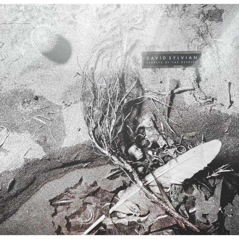 David Sylvian – Secrets Of The Beehive David Sylvian – Secrets Of The Beehive
