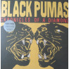 Black Pumas – Chronicles Of A Diamond - Coloured