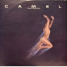 Camel ‎– Rain Dances