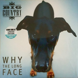 Big Country – Why The Long Face - Coloured RSD 2024
