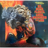 King Gizzard And The Lizard Wizard – Ice, Death, Planets, Lungs, Mushrooms And Lava 2LP