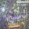 Gatecreeper – Dark Superstition - Coloured