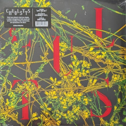 Cults – Host - Coloured