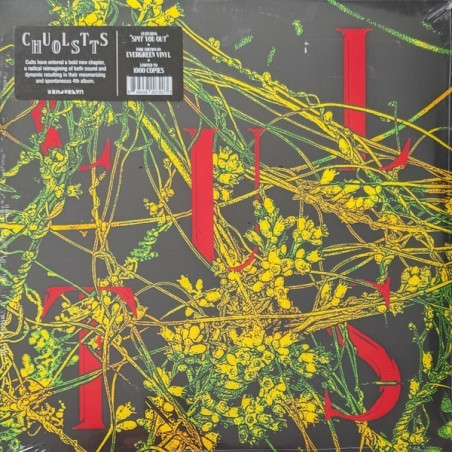 Cults – Host - Coloured