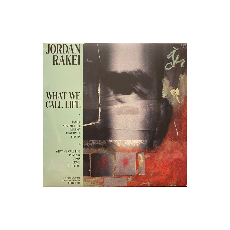 Jordan Rakei – What We Call Life Jordan Rakei – What We Call Life
