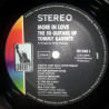 The 50 Guitars Of Tommy Garrett – More In Love!