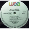 Stevie Nicks – The Wild Heart