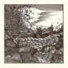 Conjurer – Mire  - Coloured